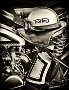 Ready to Ride Photograph by Tim Gainey