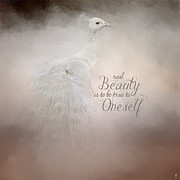 Real Beauty - Peacock Art Photograph by Jai Johnson