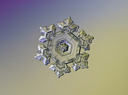 Real snowflake - 05-Feb-2018 - 10 alt Photograph by Alexey Kljatov Real snowflake - 05-Feb-2018 - 10 alt Photograph by Alexey Kljatov