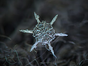 Real snowflake photo - The shard Photograph by Alexey Kljatov