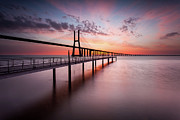 Reborn Photograph by Jorge Maia