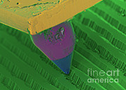 Record Needle On Record, Sem Photograph by Ted Kinsman