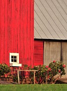 Red Barn Hitching Post 15.75x21 Photograph by Jerry Sodorff