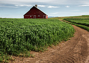 Red Barn in Green Field Photograph by Bob Cournoyer
