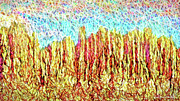 Red Cliff Sunset - Colorado Digital Art by Joel Bruce Wallach
