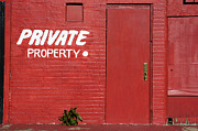 Red Photograph by DArcy Evans Red Photograph by DArcy Evans
