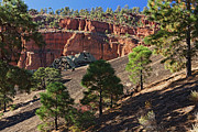 Red Mountain Entrance Photograph by Tom Daniel