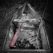Red Oar Photograph by Darius Aniunas