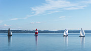 Red Sails Puget Sound Photograph by Cathy Anderson