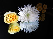 reflected Flowers Digital Art by Kathleen Illes