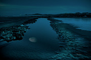 Reflected Moon Photograph by Bill Posner