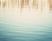 Reflecting Water  Photograph by Bree Madden 