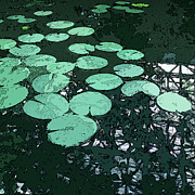 Reflections Digital Art by Gina Harrison