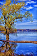 Reflections of Spring Photograph by Monroe Payne