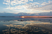 Reflections over Back Bay Photograph by M C Hood