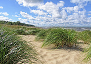 Remembering Summer Beach Scenes Photograph by Kathi Mirto