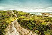 Remote Australia beach trail Photograph by Jorgo Photography Remote Australia beach trail Photograph by Jorgo Photography