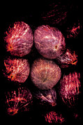 Renaissance Turkish Eggplant Photograph by Jennifer Wright