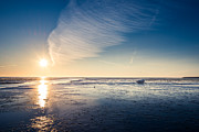 resting at the Watten Sea Photograph by Hannes Cmarits