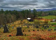 Resting in Peace Photograph by Pat Moore