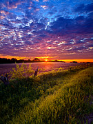 Revival Photograph by Phil Koch