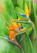 Bird of Paradise Painting by Karen Fleschler