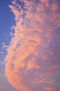 Ribbon of Clouds at Sunset - Portrait Photograph by Joni Eskridge Ribbon of Clouds at Sunset - Portrait Photograph by Joni Eskridge