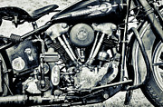 Ride a Knuck Photograph by Tim Gainey