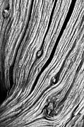 Ridges - bw Photograph by Werner Padarin Ridges - bw Photograph by Werner Padarin