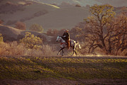 Horseback on Top of the Hill Photograph by Ana V Ramirez