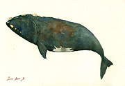 Right whale painting Painting by Juan  Bosco