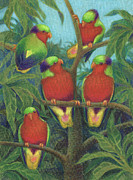 Rimatara Lorikeets Drawing by Judith Kunzle