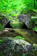 River Bridge Series Y6536 Photograph by Carlos Diaz