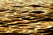 River Of Gold Photograph by Az Jackson