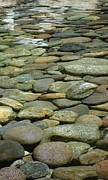 River Rock Photograph by Sherry Clark