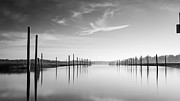 River Sunrise Photograph by Alissa Beth Photography