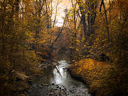 River Views Photograph by Jessica Jenney