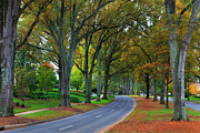 Road in Charlotte Photograph by Jill Lang