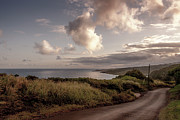 Road Less Traveled Photograph by Daniel Murphy