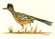 Roadrunner bird Painting by Juan Bosco