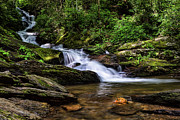 Roaring Fork Waterfall Photograph by Louise Lindsay