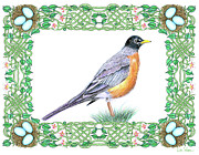 Robin in Spring Drawing by Lise Winne