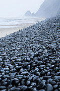 Rocky Falcon Cove Photograph by Tim Newton