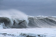 Rolling Wave Photograph by Robert Banach