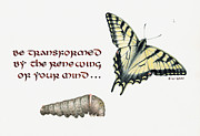 Romans 12 Be Transformed Drawing by Betsy Gray