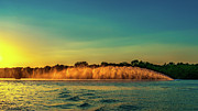 Rooster Tail Photograph by Robert FERD Frank