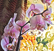 Rose Cottage Orchid Photograph by Janis Senungetuk