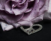 Rose Love and Peace One Photograph by Karen Musick