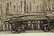 Rough Logs on Wooden Cart in Front of Rustic Fence in Sepia Photograph by Colleen Cornelius