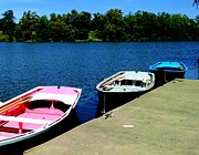 Rowboats Photograph by Brad Nellis